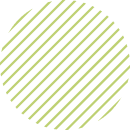 home store element 5 1 4.png